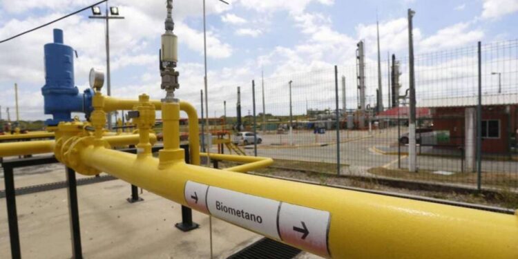 Equinor e parceiros lançam projeto de R$ 26,4 mi para biometano