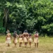 por que a aceitação da comunidade importa