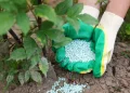 Anuário traz balanço de minerais para segurança de alimentos