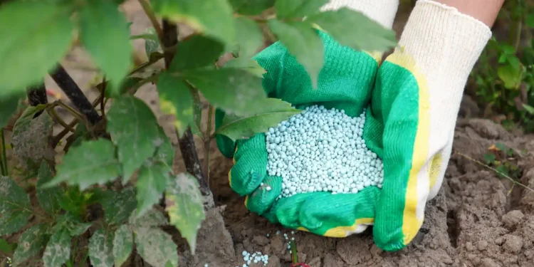 Anuário traz balanço de minerais para segurança de alimentos