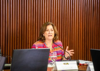 PL dos minerais críticos incorpora interesses do governo, diz ministra