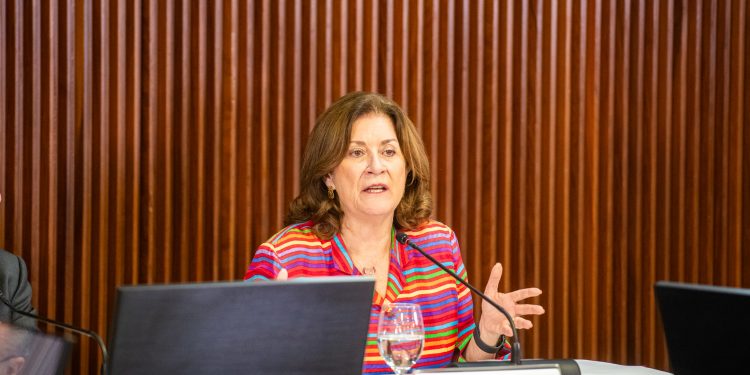 PL dos minerais críticos incorpora interesses do governo, diz ministra