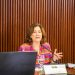 PL dos minerais críticos incorpora interesses do governo, diz ministra
